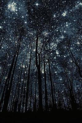 最经典的《仰望半月的夜空》经典语句大全