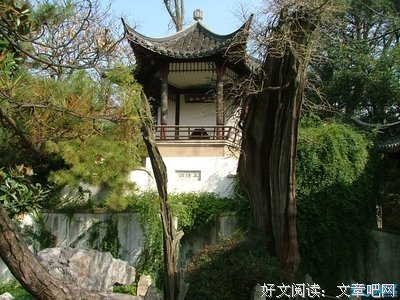古树风云集名句欣赏