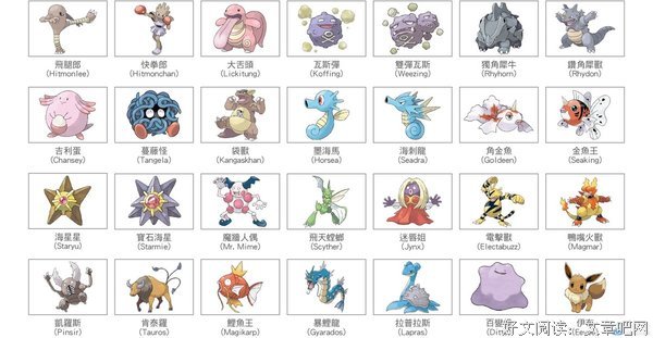 皮诺的名字是太阳名言大全