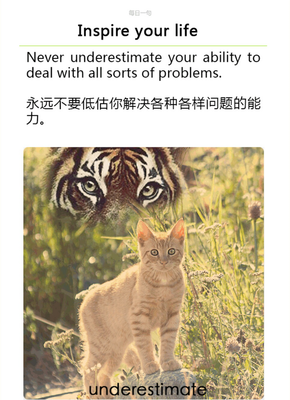 2018董定一的格言