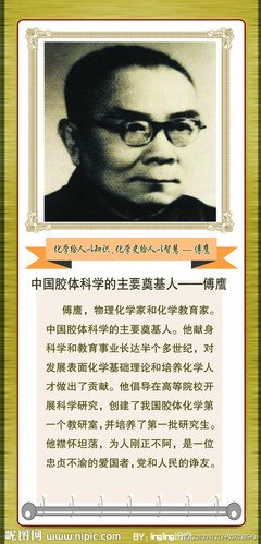 辞鸢心名言
