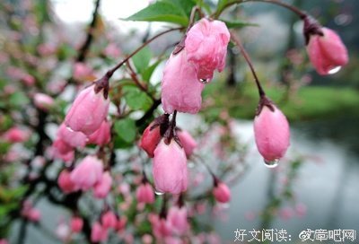 明前雨出里你经典句子
