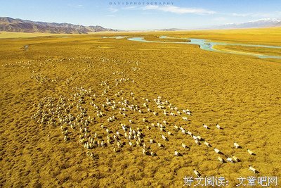 木瓜汪精彩语录