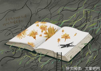 最全的《爱你就像爱生命》小说句子