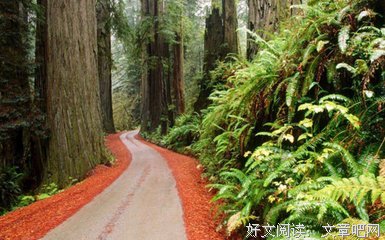 最全的《穿越人海拥抱你》经典名句