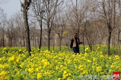 翟春玲：初冬的申河