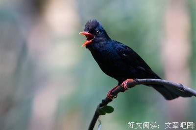 《谁动了我的奶酪》经典的句子