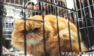 其实不开心也没事的