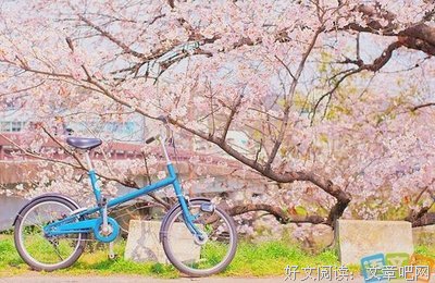 最经典的《樱花庄的宠物女孩》经典语录