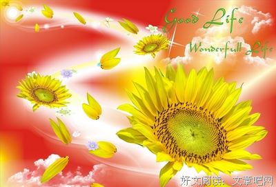 最经典的《生活的另一种美好》名句欣赏