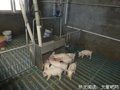 最全的《疯巫妖的实验日志》小说摘抄