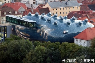 关于阳中的名言