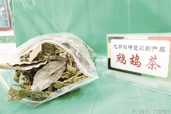 关于定安的座右铭
