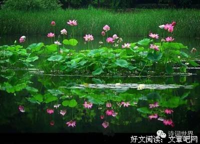 最好的我们名句欣赏