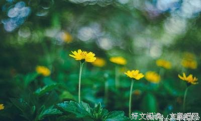 追风句子大全