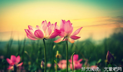 yuanzengwei的优美句子