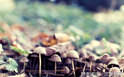 青春经典的句子