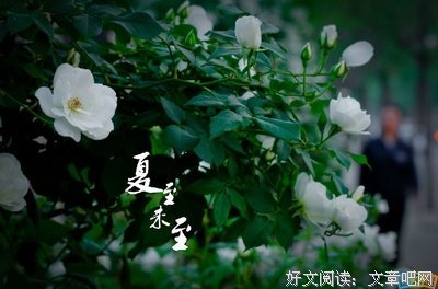 那起外想风也旬句子大全