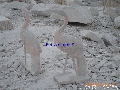 最新的石鹤连名言
