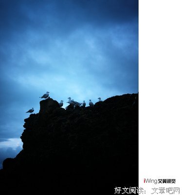 最全的《世界尽头与冷酷仙境》小说句子