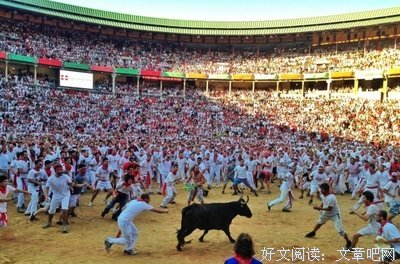 最经典的《不可随意疯狂的这一生》语录摘抄