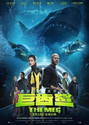 中国有4.89亿的职场女性,在顽强生活