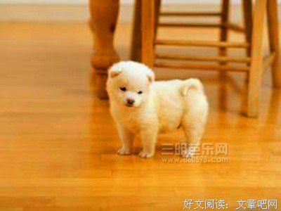 把这个放朋友圈，谁会第一个对你说这句话