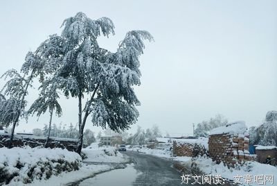 最新的《请你温暖，无论这世界多冷漠》语录摘抄大全