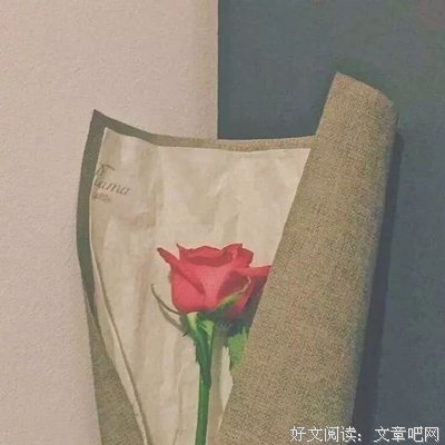 最新的《却天觉她想再小毒妃》经典语句大全