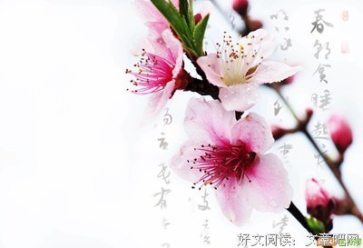 有关奴隶主的美句摘抄