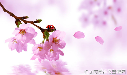 描写锐不可当的语句摘抄