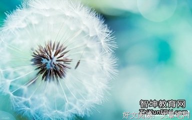 有关唯美，深入骨髓的句子