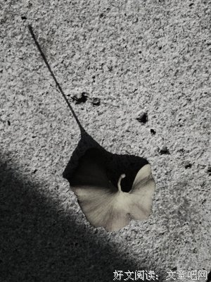 有关生如夏花，死如秋叶的句子