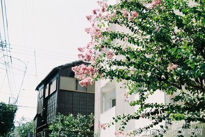 《更好》的句子