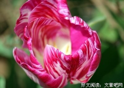 有山变和了生这变别自要优美的句子