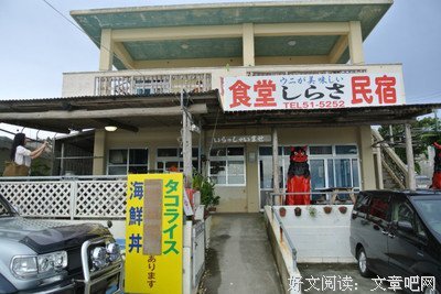 有关大海豚的名言
