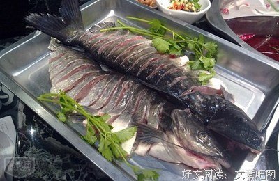 匡匡名言大全
