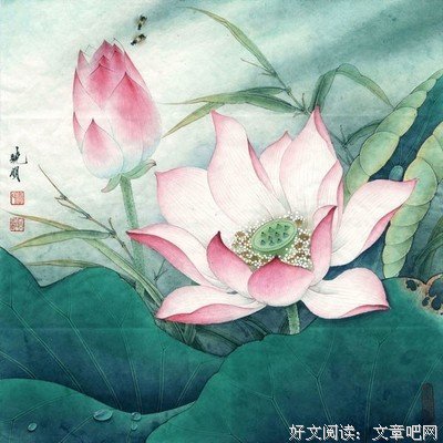 最全的Jenny的名言