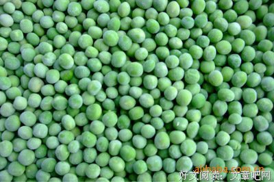 《青豆》经典句子大全