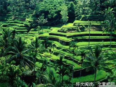 最经典的《快思慢选》名句欣赏
