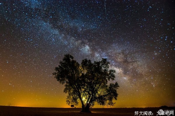 最经典的《暗夜星光》语录摘抄