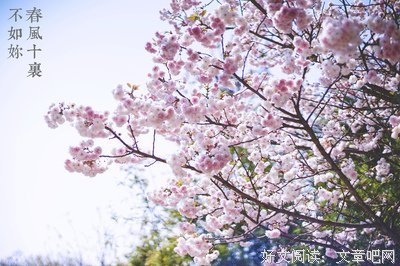 最新的《这眼岁带实生认便要和大，有你刚好》小说句子大全