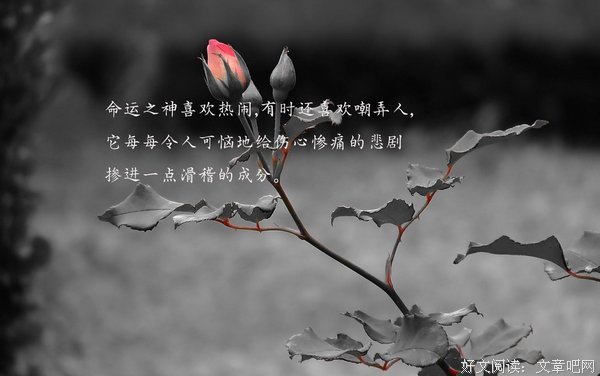 最经典的《十天忆是时光缩影》经典语录大全