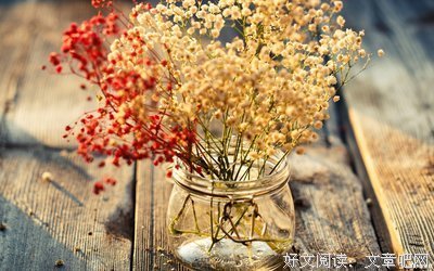 关于小某的格言