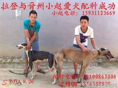 关于拉登的名句摘抄
