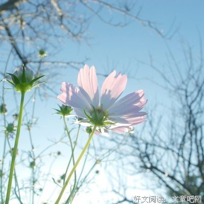 15条关于毕恭毕敬的经典语句