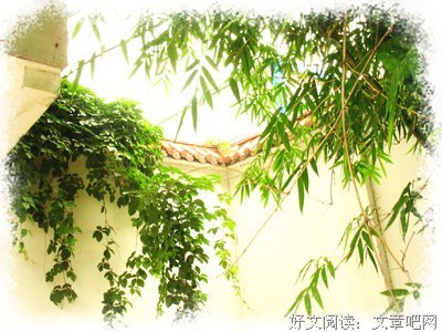 情话