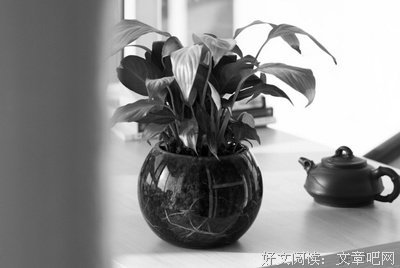 冷香小筑优美的句子