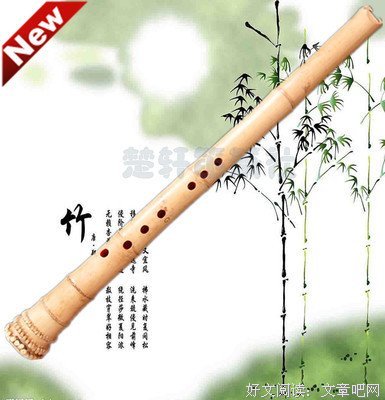 楚轩的名言