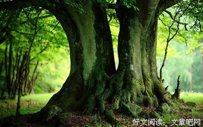关于歌德名言